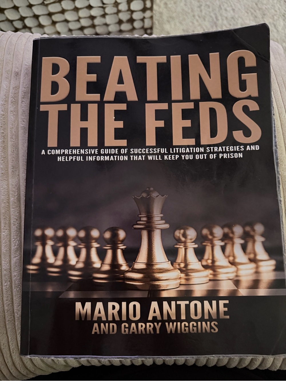 Beating the Feds by - Black and Gold Cover